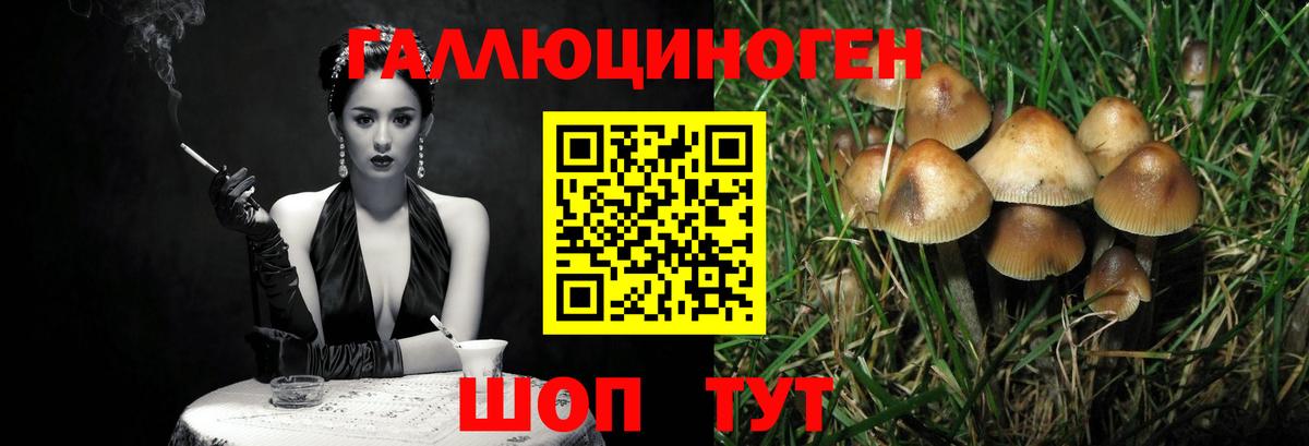 Галлюциногенные грибы мицелий Вологда