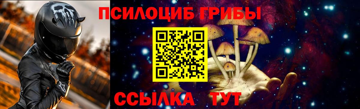 Вологда  Псилоцибиновые грибы MAGIC MUSHROOMS  цены   Вход с VPN 
