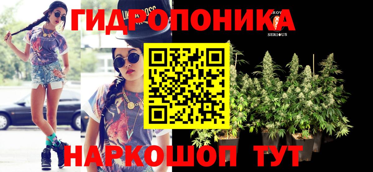 Канабис White Widow Вологда